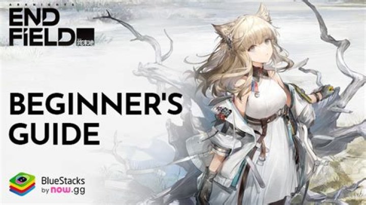 Arknights Endfield: A Comprehensive Guide to the Upcoming Game