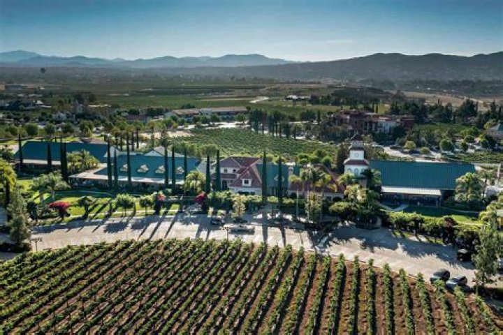 Beach Haven Winery: A Hidden Gem for Wine Lovers