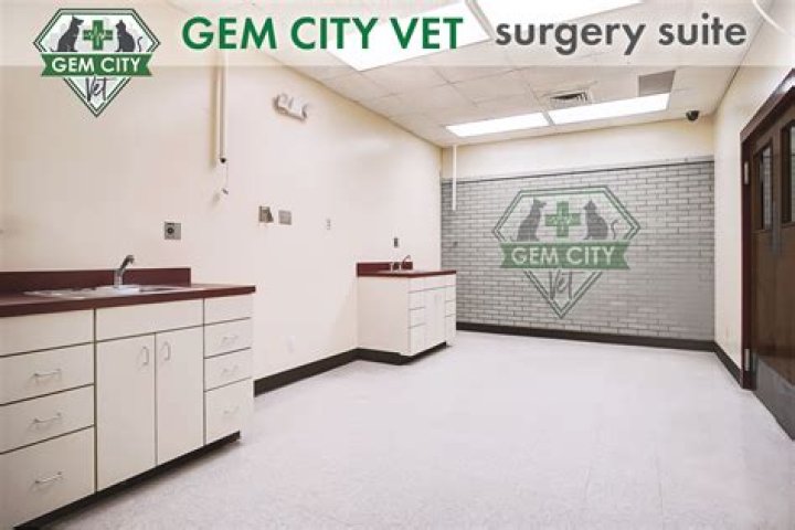 Comprehensive Guide to Gem City Vet: Your Trusted Veterinary Partner
