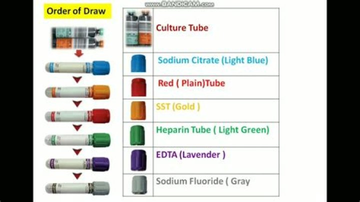 Comprehensive Guide to Meriter Blood Draw in Madison, WI