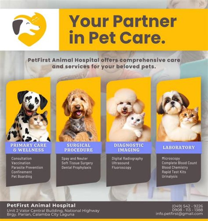 Copperview Animal Hospital: Your Trusted Partner in Pet Care