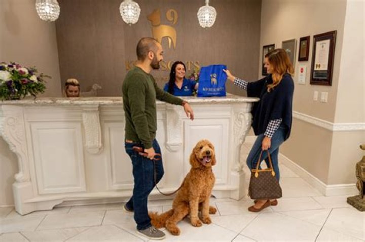 Discover the Ultimate Pet Palace: A Haven for Your Furry Friends