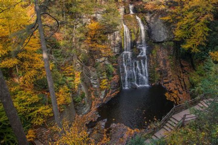 Discovering Berwyn, PA: A Hidden Gem in the Heart of Pennsylvania