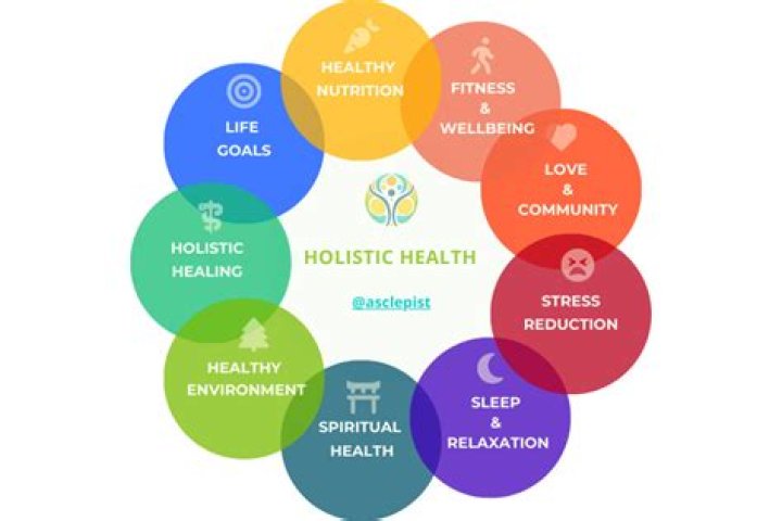 Discovering Panacea Wellness: Your Path to Holistic Health