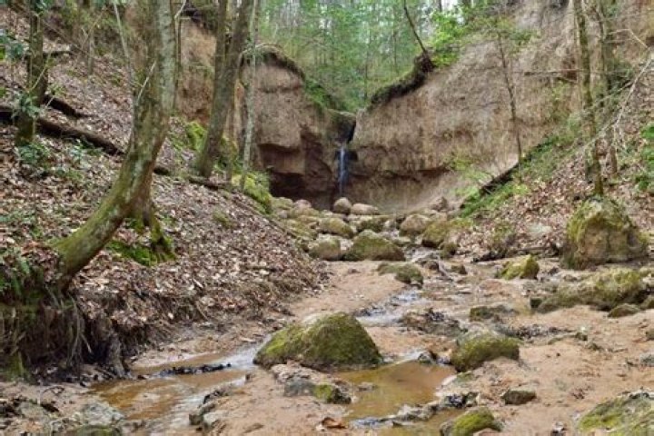 Discovering Picayune, MS: A Hidden Gem in Mississippi