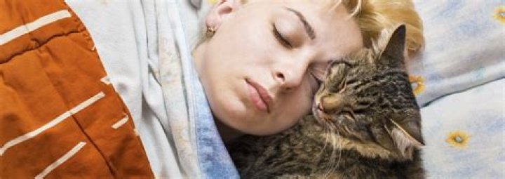 Do Cats Dream? Exploring the Mysterious World of Feline Sleep