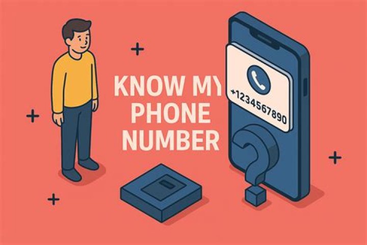 Everything You Need to Know About Cricket Phone Numbers