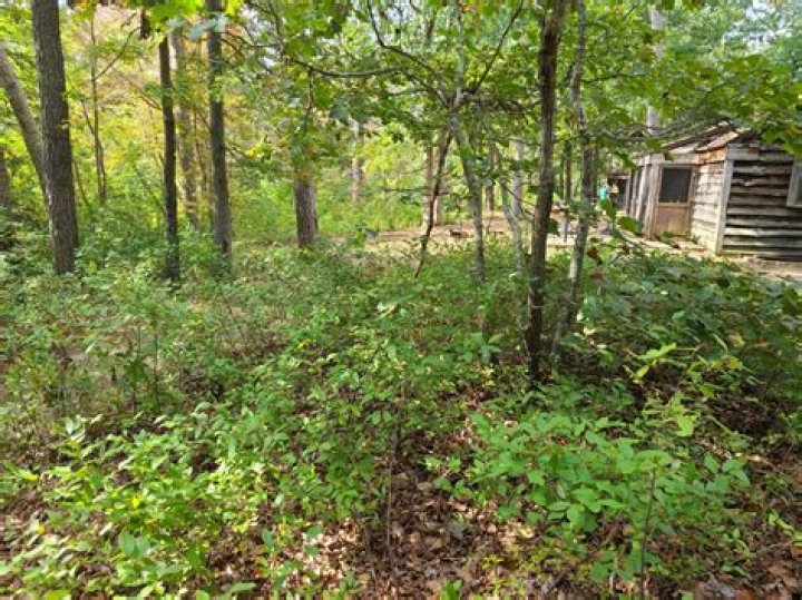 Exploring Parvin State Park, New Jersey: A Natural Retreat