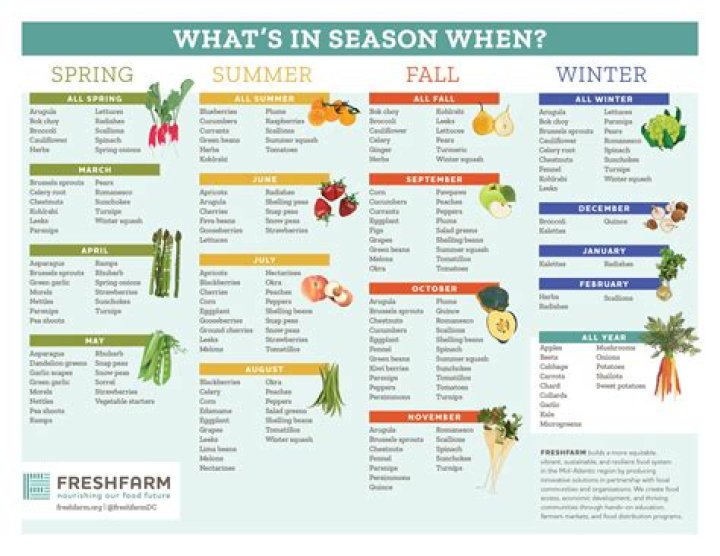 Exploring Pete's Fresh: A Comprehensive Guide to Fresh Produce and More