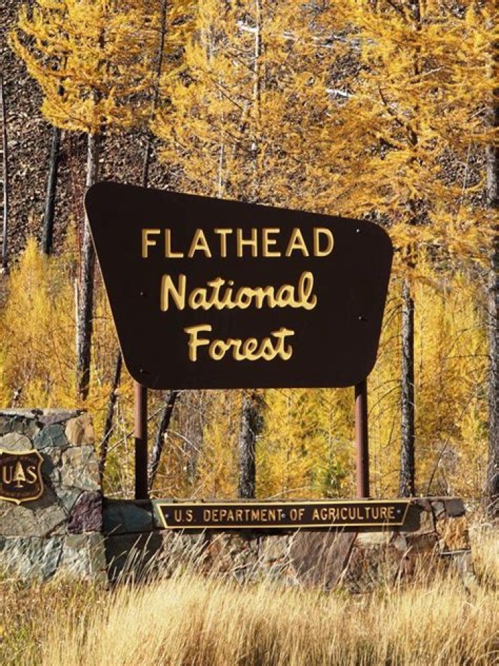 Exploring the Majesty of Flathead National Forest: A Comprehensive Guide