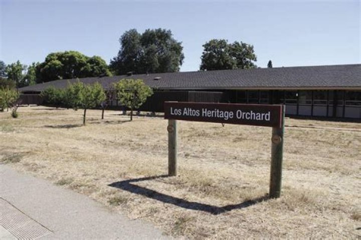 Exploring the Rich Heritage: History Museum Los Altos
