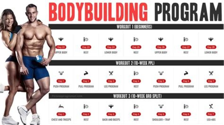 How Much is Rich Piana Worth? Exploring the Legacy of a Bodybuilding Icon