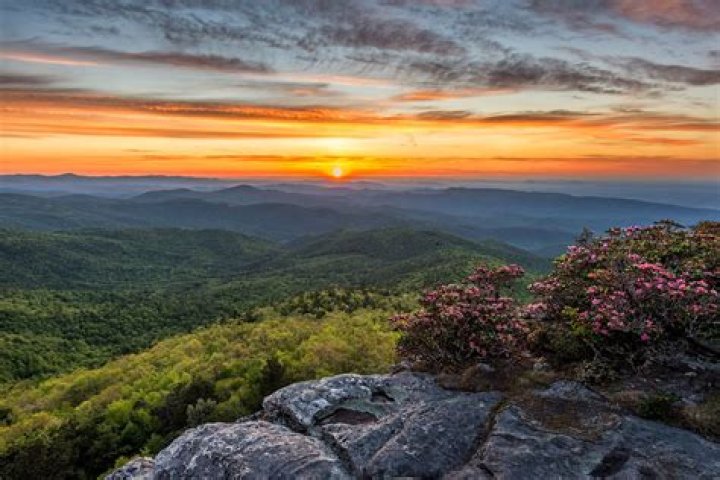 Kinston, NC: A Hidden Gem in Eastern North Carolina