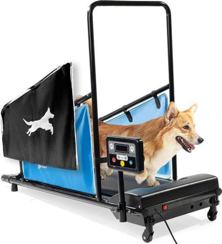 Maximize Your Dog's Health and Happiness with the Best Dog Treadmill