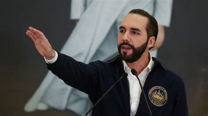 Nayib Bukele Net Worth: Exploring the Wealth of El Salvador's Visionary Leader