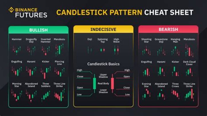 The Comprehensive Guide to Understanding the NGC Channel Schedule