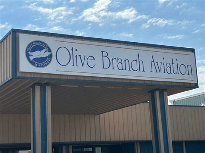 Understanding the Olive Branch MS: A Comprehensive Guide