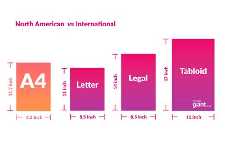 Understanding the Size of Titties: A Comprehensive Exploration