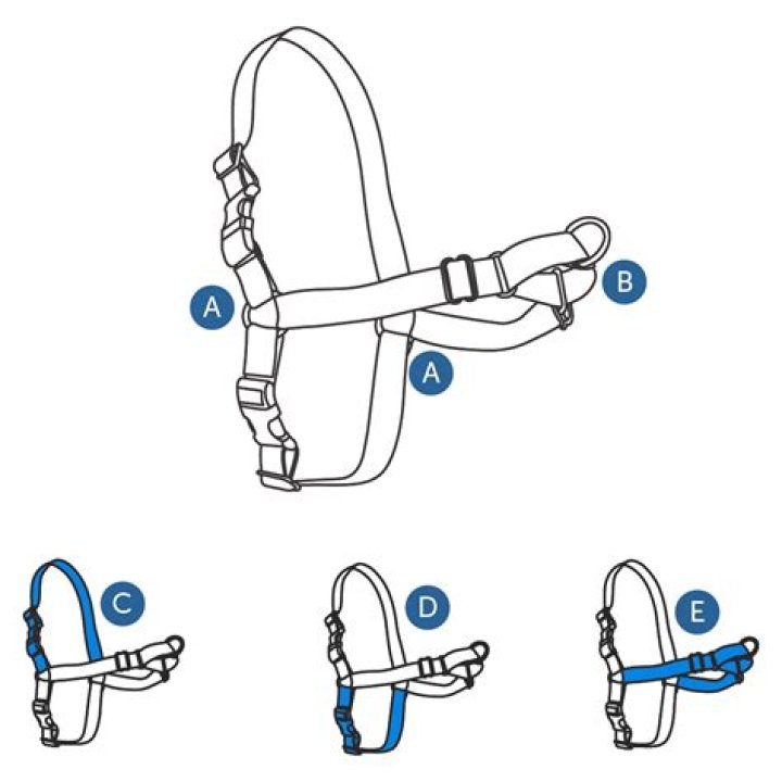 Unlock the Benefits of the Easy Walk Harness: A Comprehensive Guide
