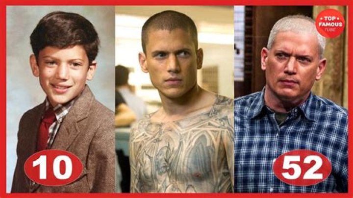 Unraveling the Life and Career of Wentworth Miller