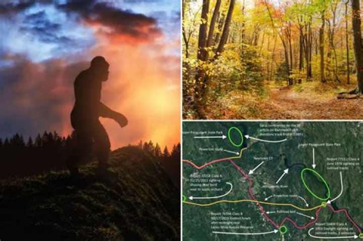 Unraveling the Mystery of Bigfoot Sightings: The Ultimate Guide